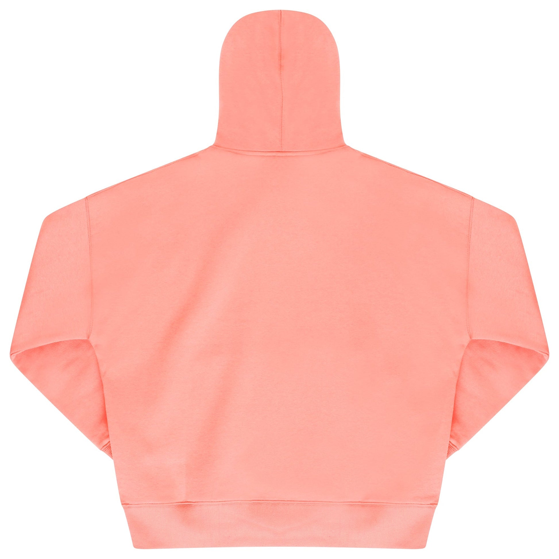 Back flat lay of men’s coral 365 Oversized Hoodie showcasing ribbed hem and cuffs – 365 Collection – oversized fit.