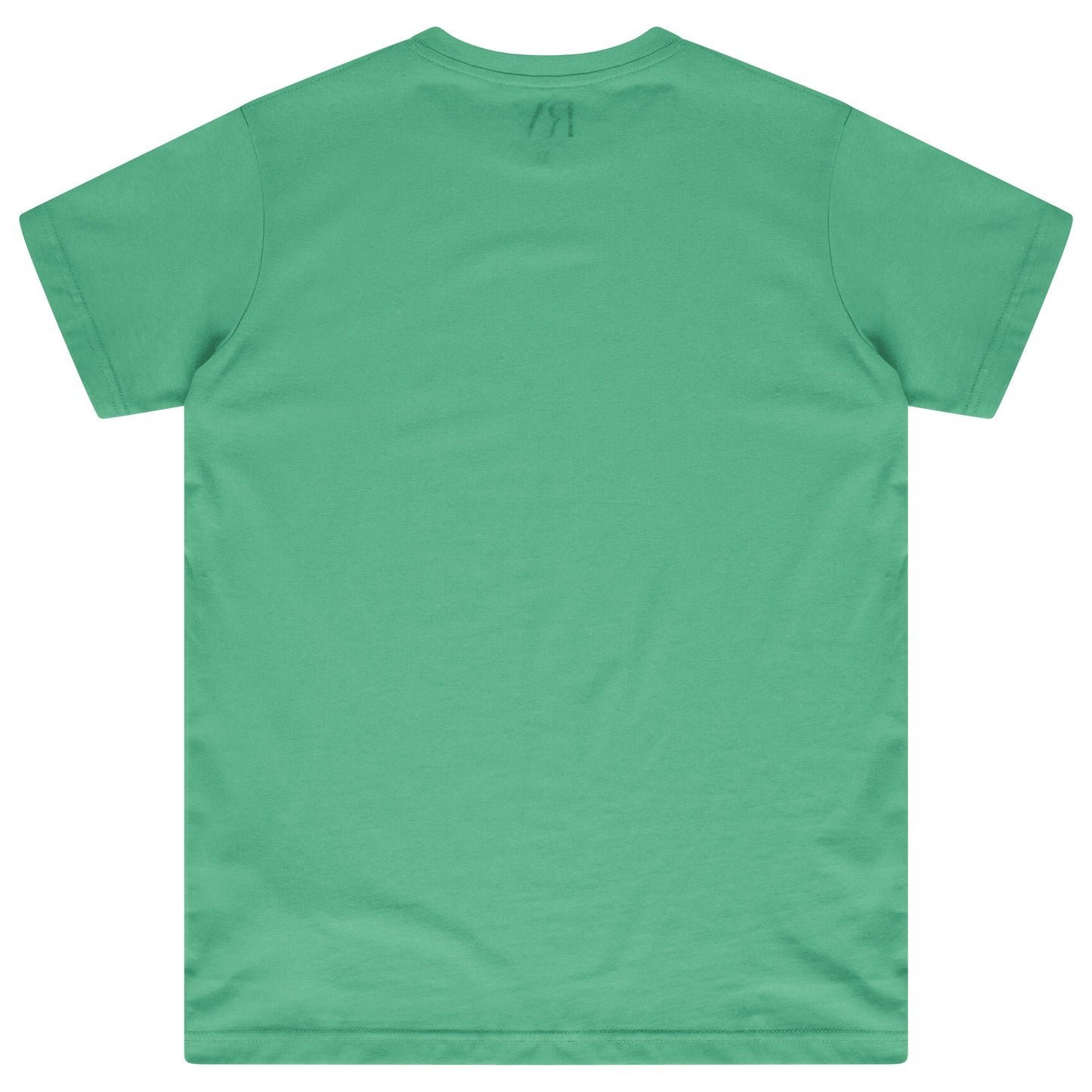 Back flat lay of men’s green oversized T-shirt - 365 Collection.