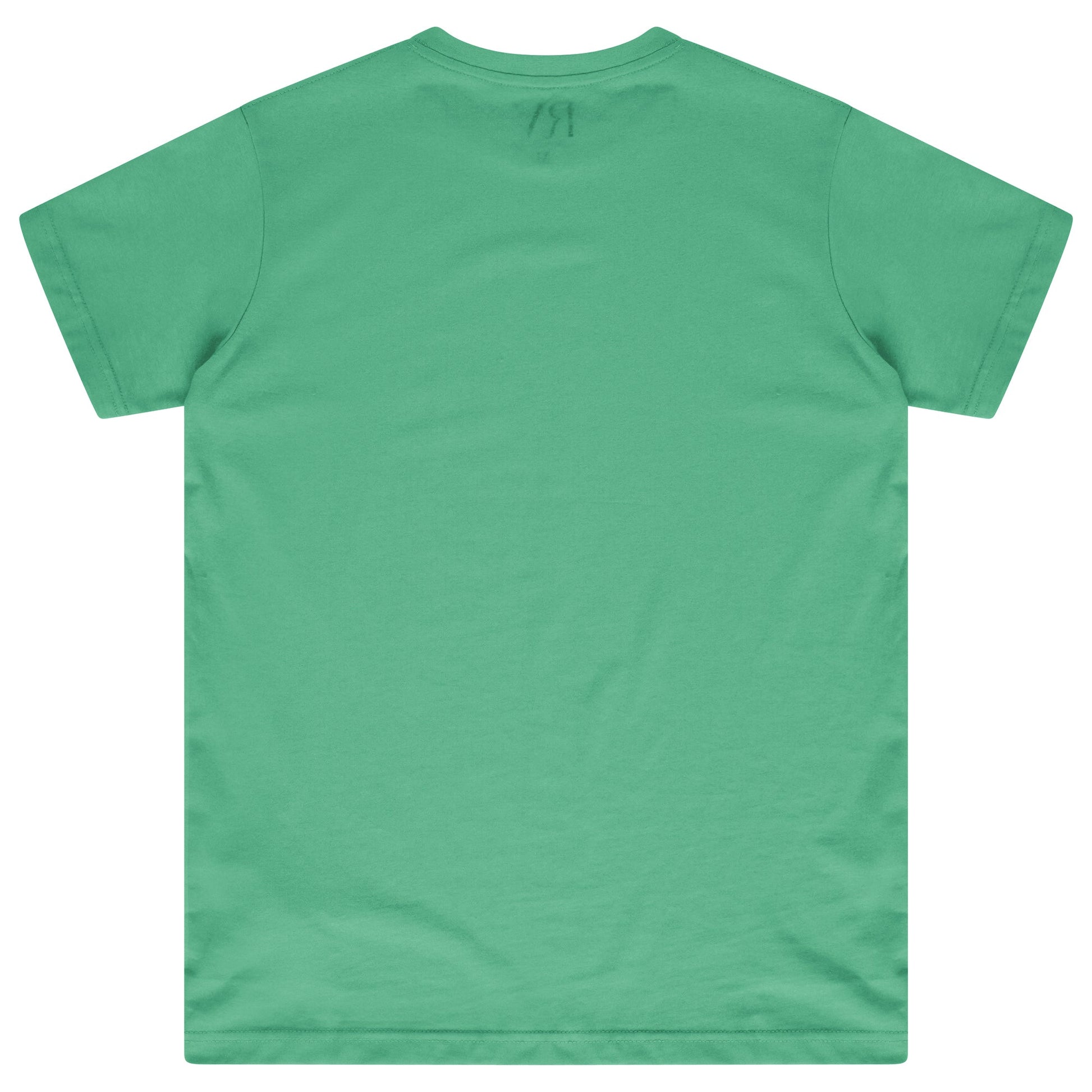 Back flat lay of men’s green oversized T-shirt - 365 Collection.