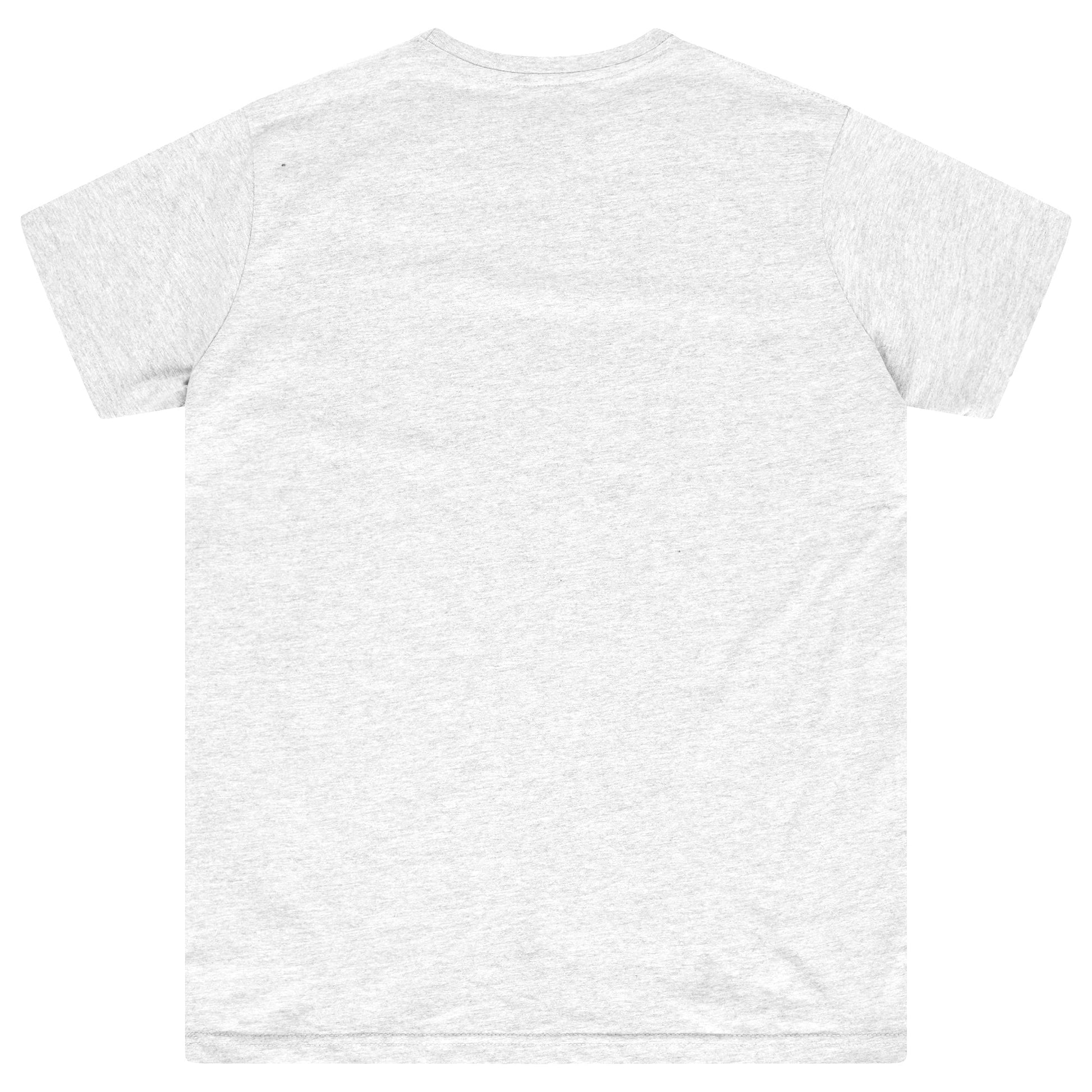 Back flat lay of men’s grey oversized T-shirt - 365 Collection.