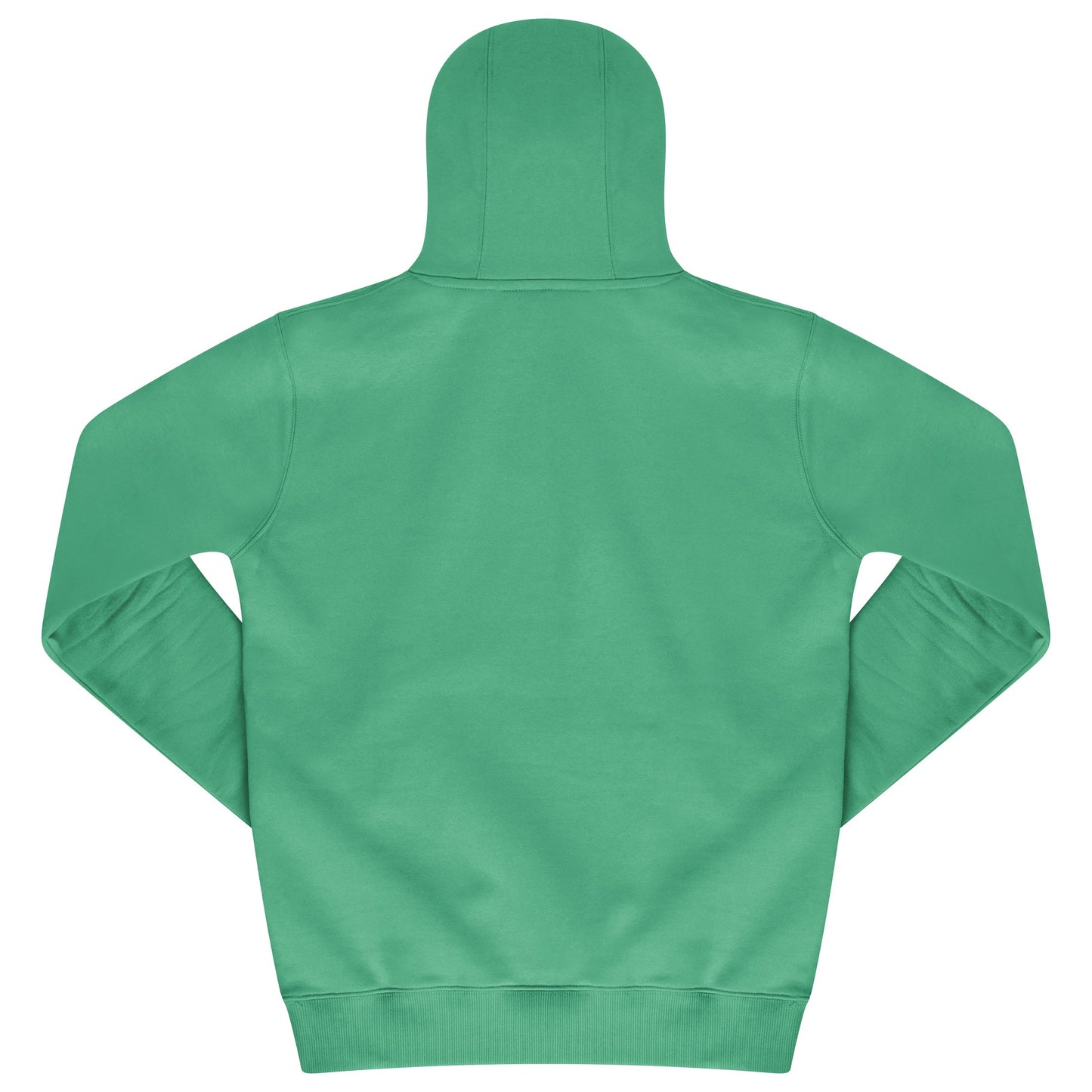 Back flat lay of men’s green regular fit hoodie, showcasing ribbed hem and cuffs - 365 Collection.