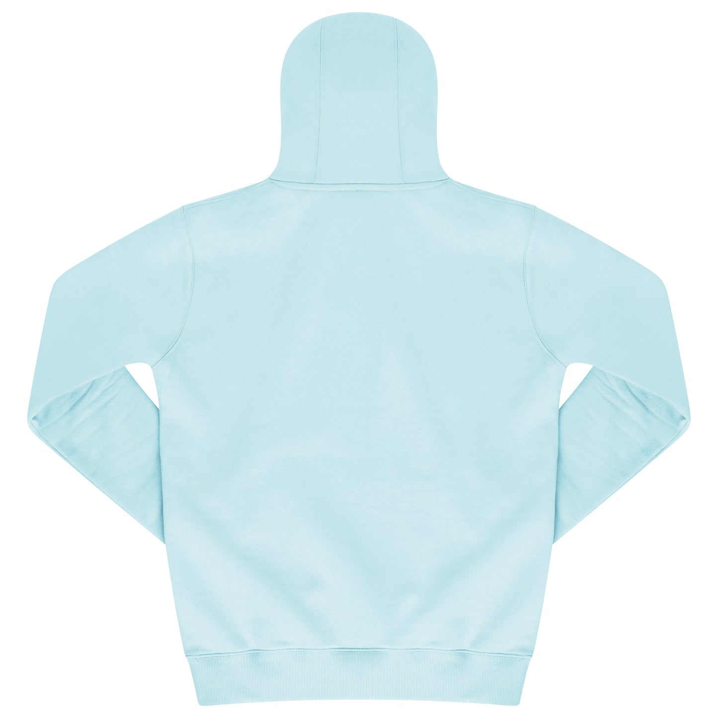 365 Regular Hoodie back view – turquoise men’s hoodie with relaxed fit and ribbed hem.