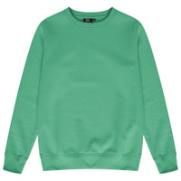 Front flat lay of men’s green regular fit sweatshirt - 365 Collection.