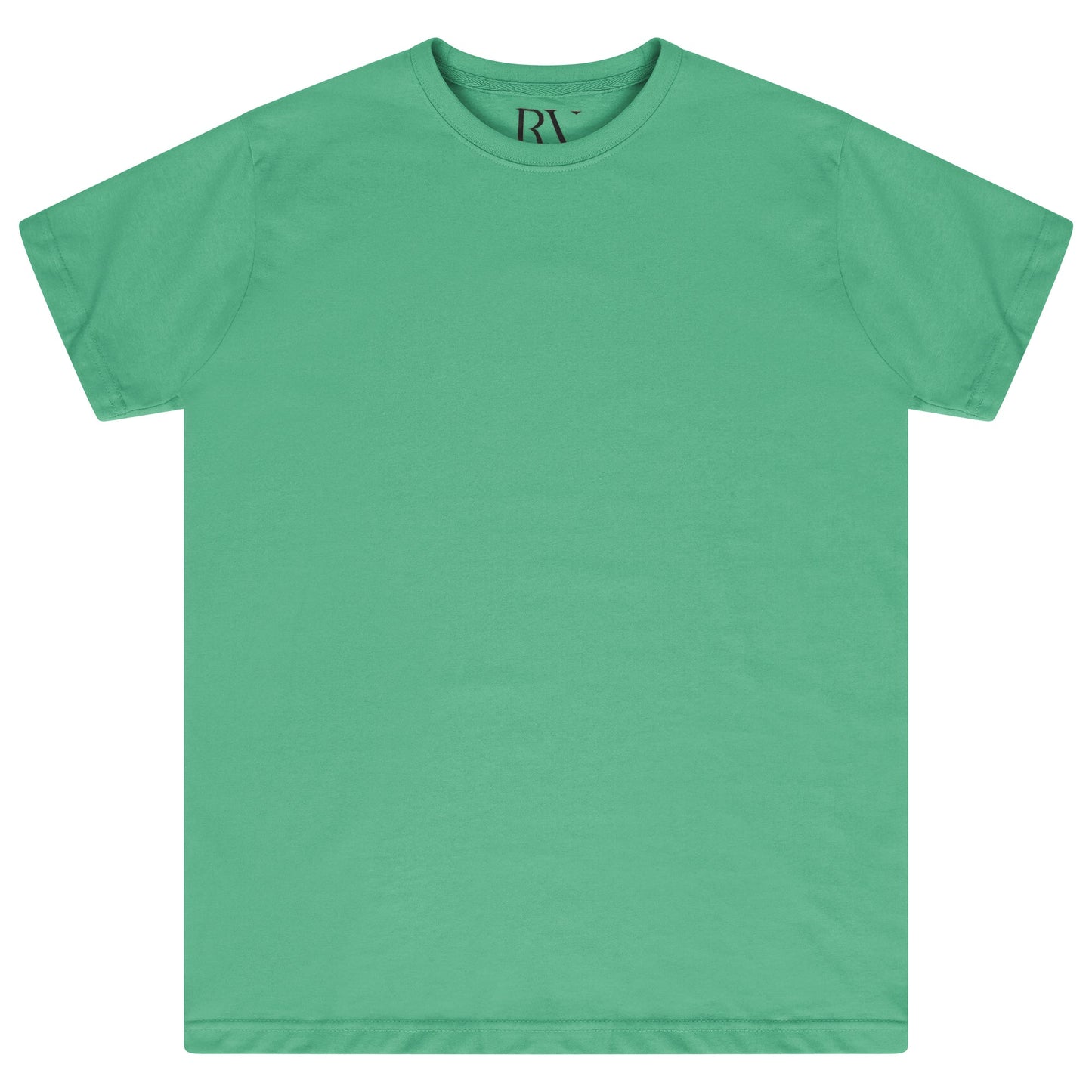 Front flat lay of men’s green regular fit T-shirt - 365 Collection.