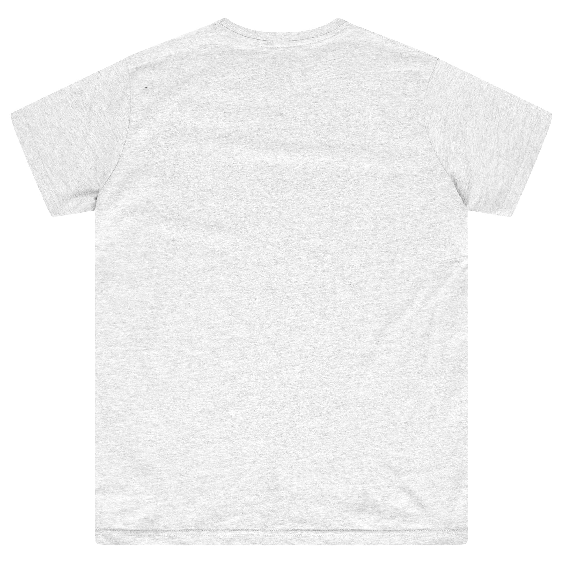 Back flat lay of men’s grey regular-fit T-shirt - 365 Collection.