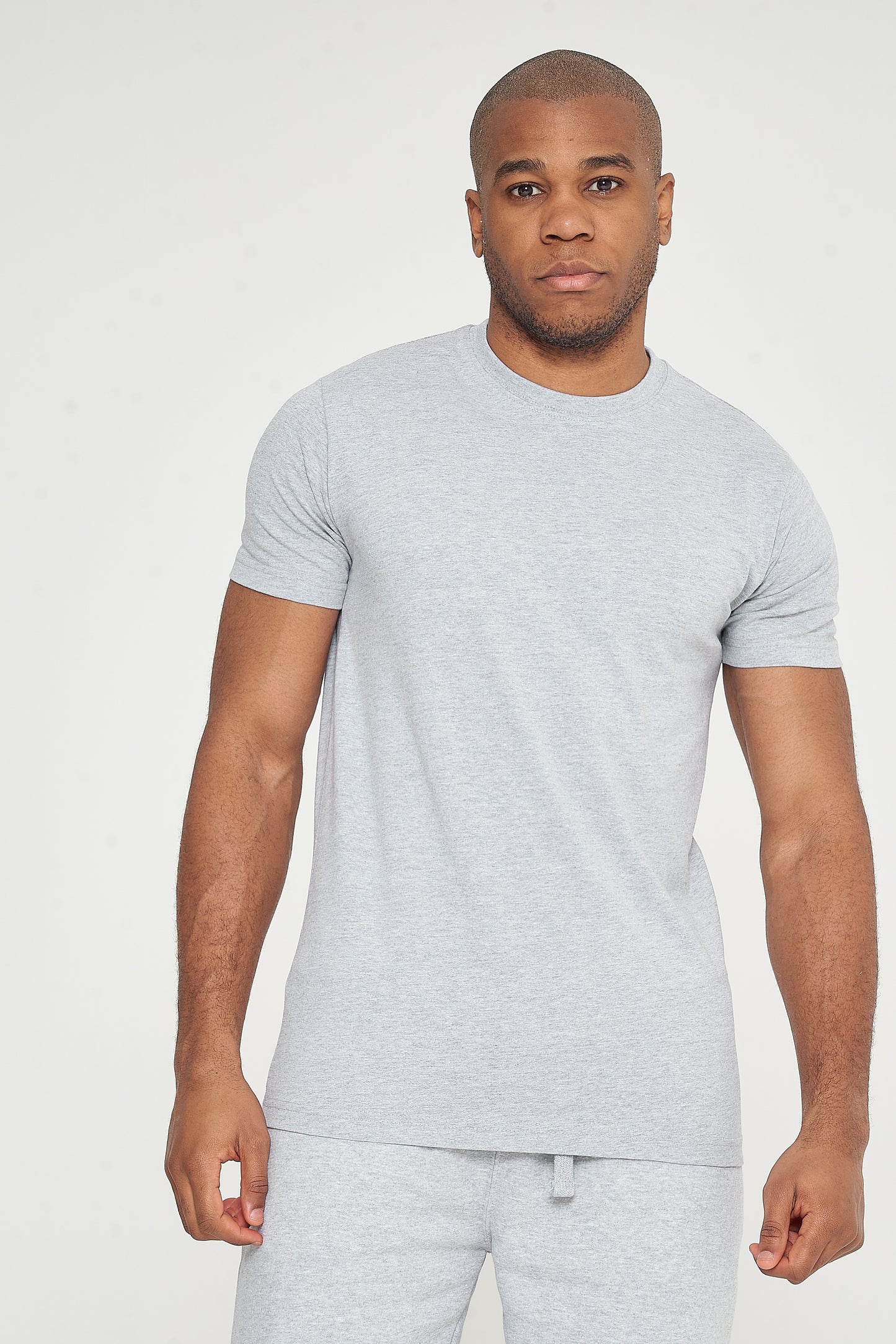 Upper body view of model in grey regular-fit T-shirt - 365 Collection.