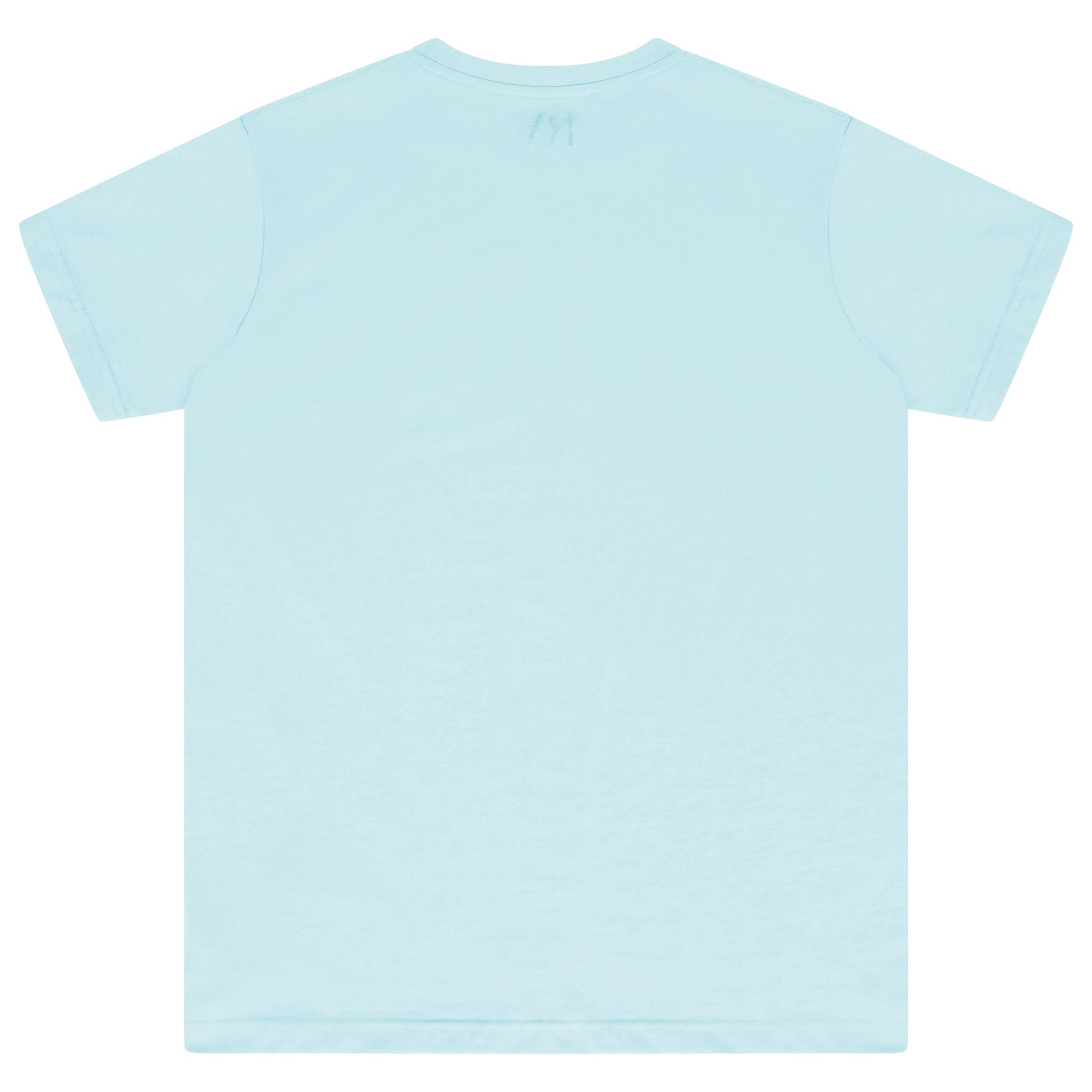 Back flat lay of men’s turquoise regular-fit T-shirt - 365 Collection.