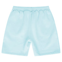 Back flat lay of men’s turquoise regular-fit shorts - 365 Collection.