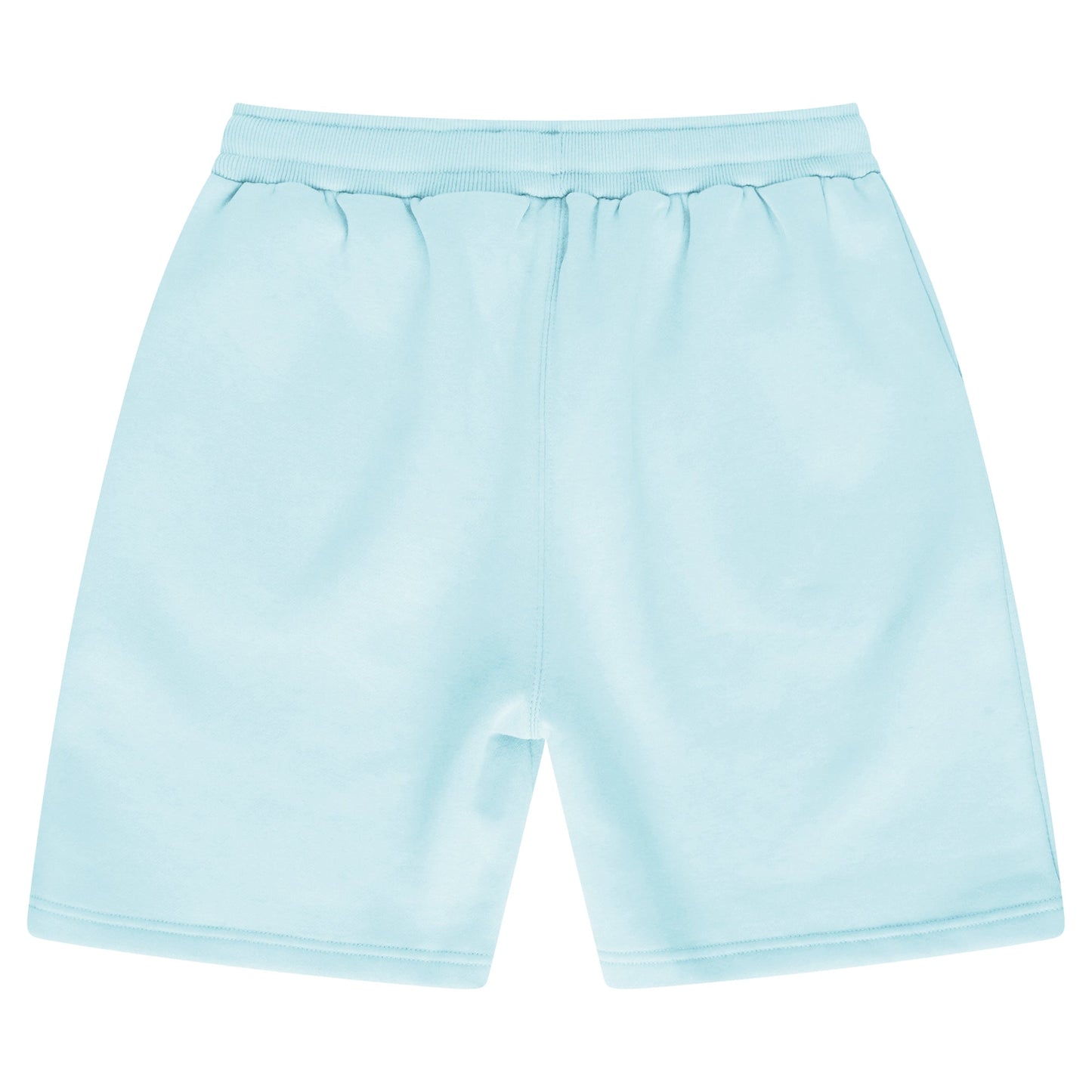 Back flat lay of men’s turquoise regular-fit shorts - 365 Collection.