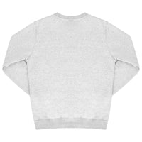 Back view of grey sweatshirt showing classic fit and long sleeves. 