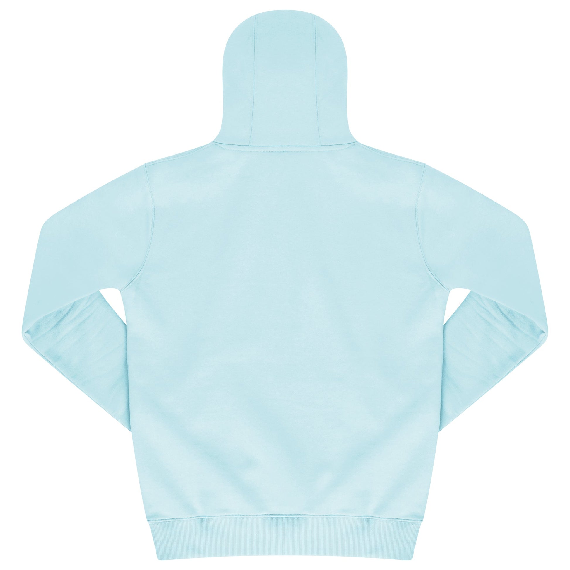 Back view of turquoise hoodie showing ribbed hem and relaxed fit.