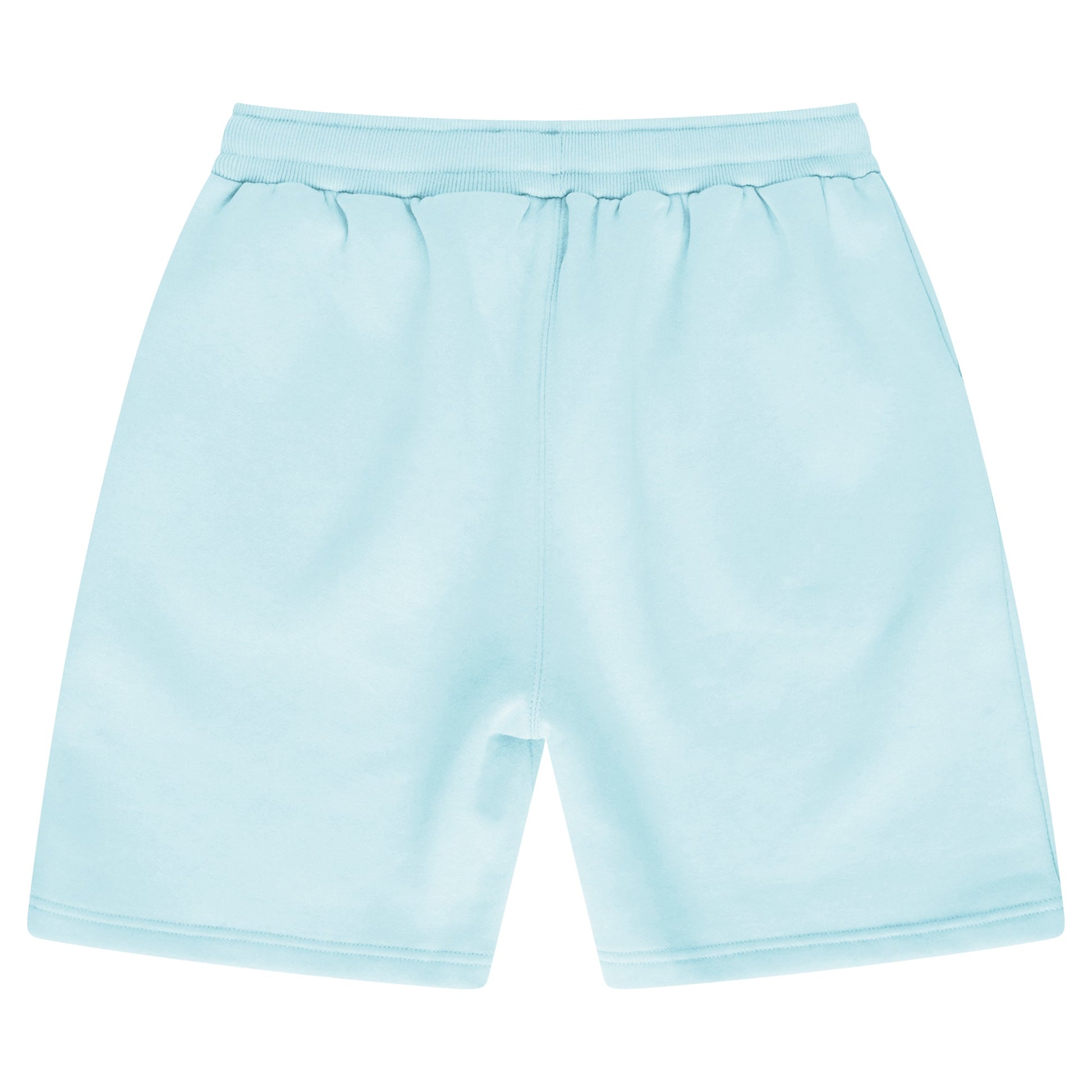Back view of women’s turquoise shorts showing relaxed fit.